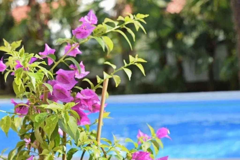 Apartment In Porec With Balcony, Air Conditioning, Wifi 819-2